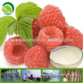 GMP Manufacturer supply 100% natural raspberry ketone extract
